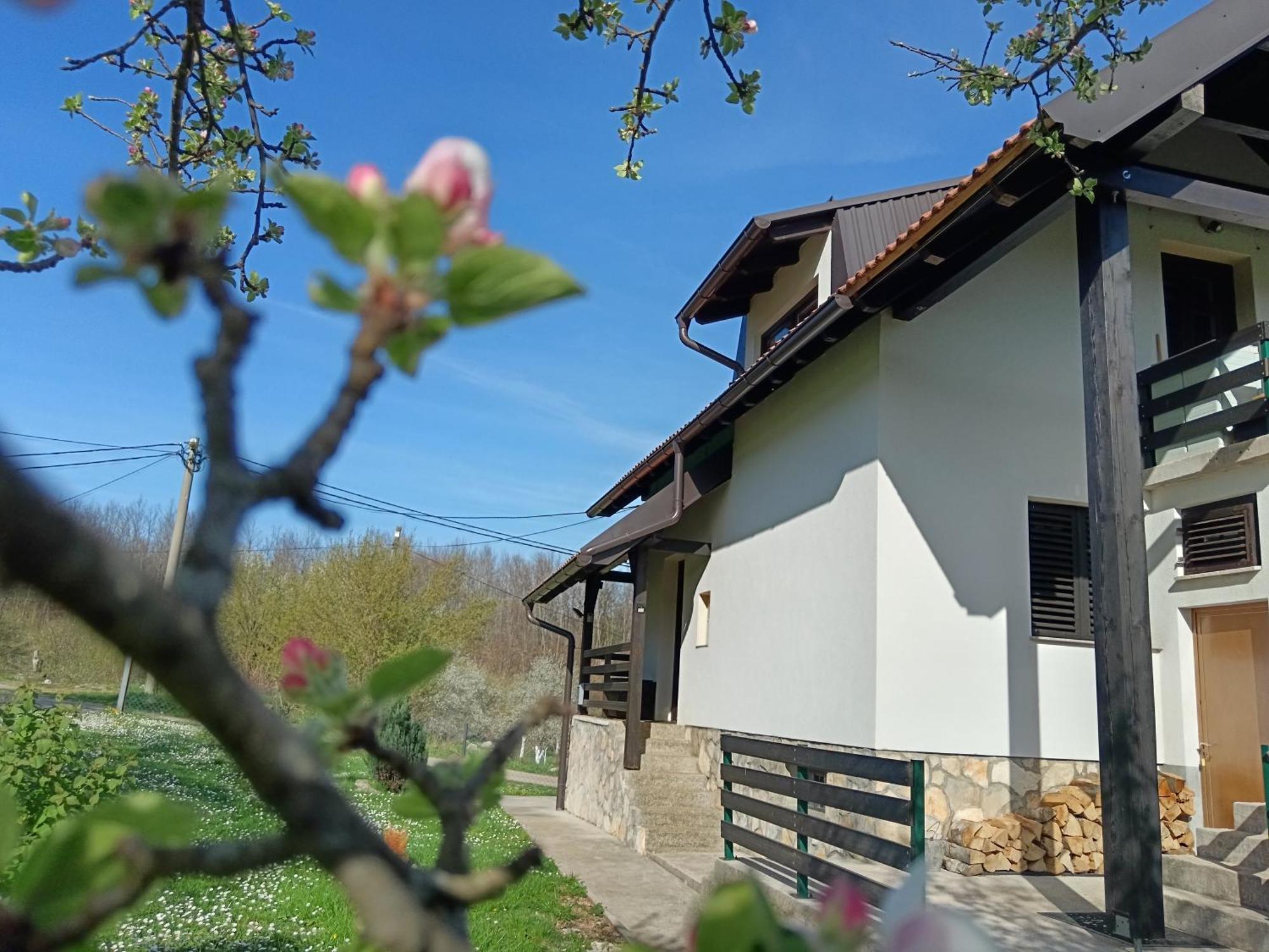 Ferienwohnung Apartman Sveti Rok Exterior foto